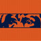 NFL Chicago Bears Zone Block Apple AirPods Pro Skin